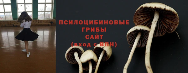 apvp Няндома