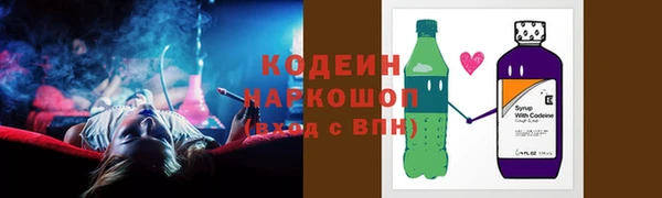 apvp Няндома