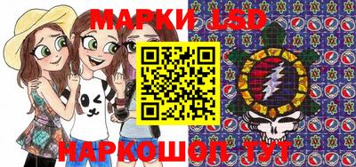шишки Лесосибирск