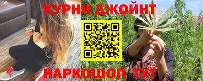 шишки Лесосибирск