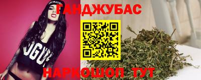 шишки Лесосибирск