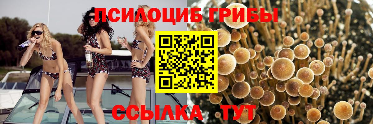 Чистополь  Галлюциногенные грибы ЛСД  Вход с VPN 